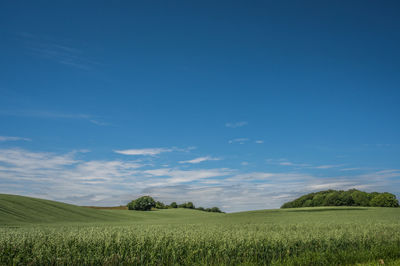 Danish agricultutal hilly landscape with crop fields