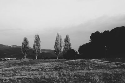 Scenic view of grassy field against sky