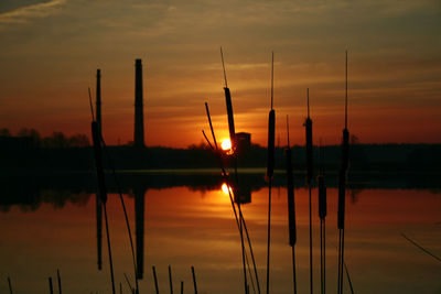 Silhouette plants by river against sky during sunrise