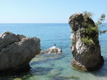 Rocks in sea against clear sky