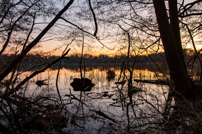 Silhouette bare trees by lake against sky at sunset