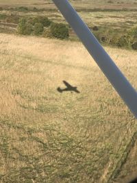 Shadow of a bird on field