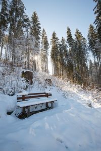 Snow covered landscape