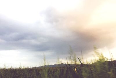 Scenic view of grassy field against cloudy sky