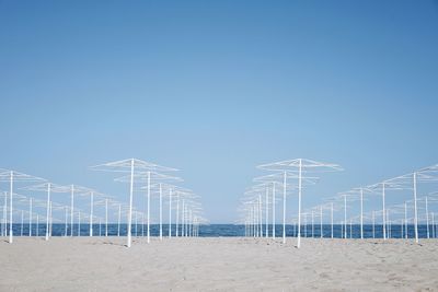 Cranes on beach against clear blue sky