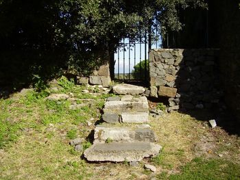 View of stone wall