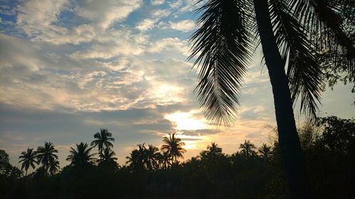 Low angle view of silhouette trees against sky at sunset
