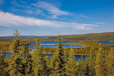 Scenic view of landscape against blue sky