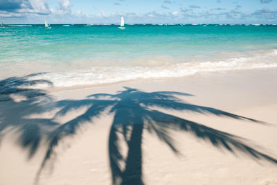 Scenic view of beach