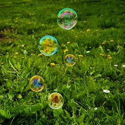 Bubbles on field