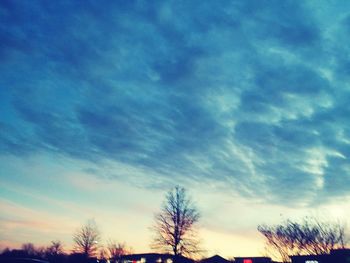 Low angle view of silhouette trees against sky