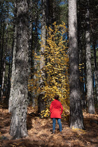 Rear view of woman walking in forest