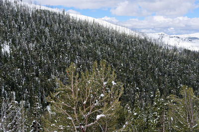 Scenic view of snow covered field against sky