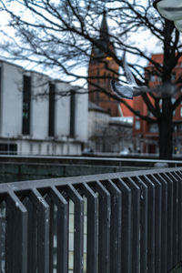 Close-up of metal fence against building