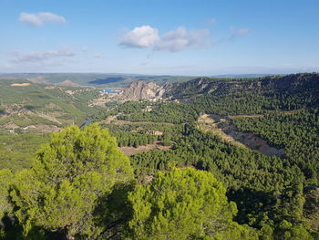 High angle view of plants on land against sky