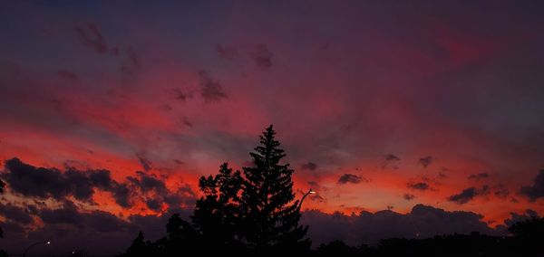 Low angle view of silhouette trees against dramatic sky