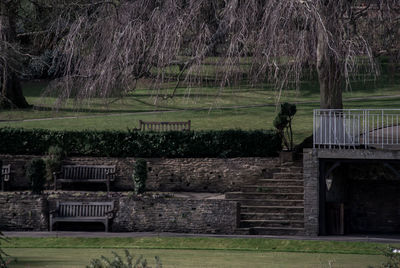 View of trees on field