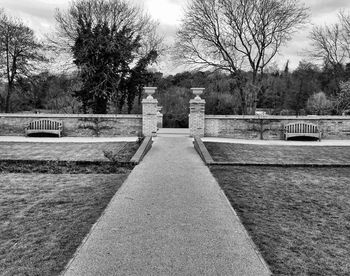 Bare trees in the park