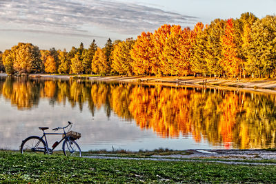 Scenic view of lake by trees during autumn