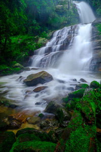 Scenic view of waterfall in forest