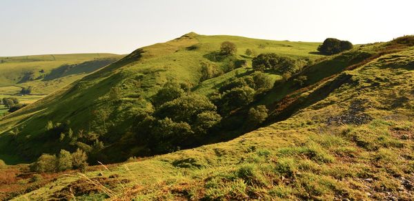Scenic view of landscape against clear sky