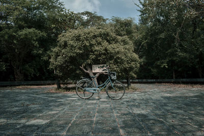 Bicycle on footpath in park