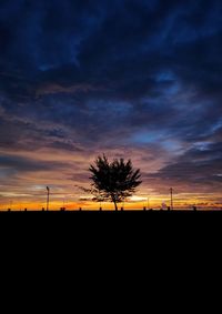 Silhouette plants against dramatic sky during sunset