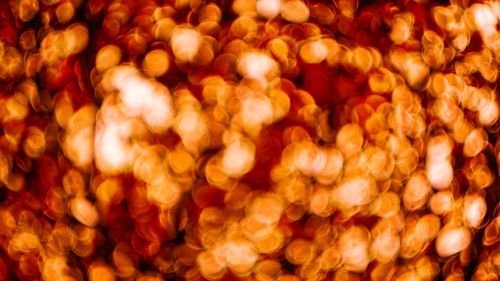 Defocused image of illuminated christmas lights