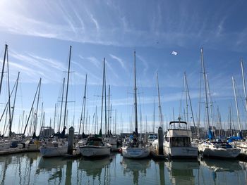 Sailboats moored in harbor