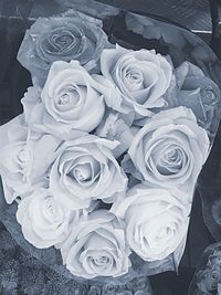 High angle view of rose bouquet