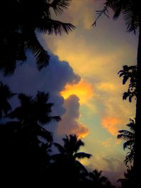 Low angle view of silhouette trees against sky during sunset