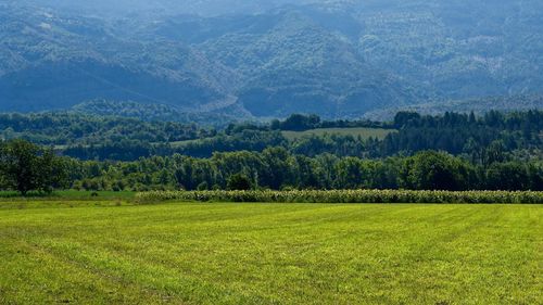 Scenic view of landscape