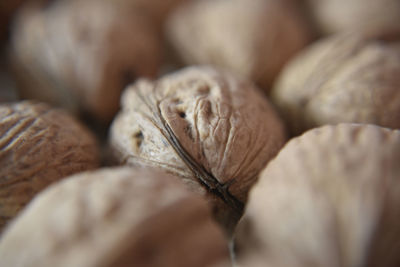 Full frame shot of dried beans