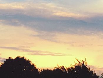 Low angle view of silhouette trees against sky