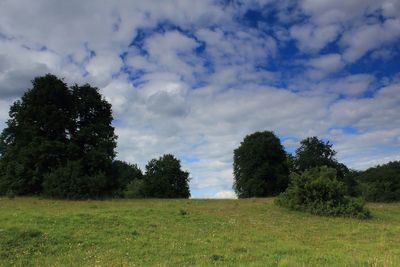 Trees on field against sky