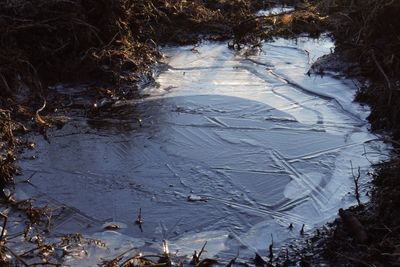 High angle view of frozen trees on field