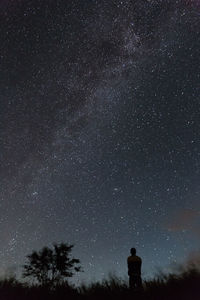 Low angle view of silhouette trees against sky at night