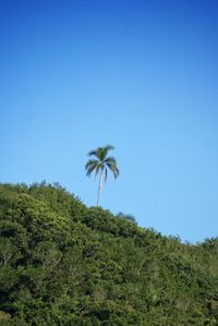 Scenic view of landscape against clear blue sky