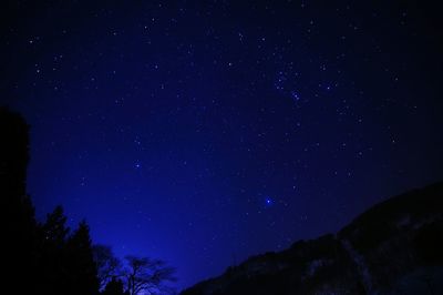 Low angle view of silhouette stars against star field at night