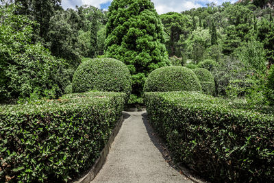 View of formal garden