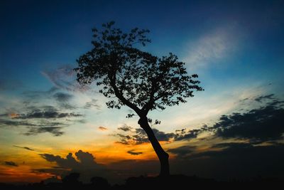 Silhouette of trees at sunset