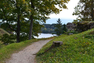 Scenic view of lake by trees against sky