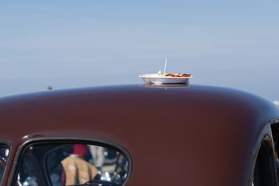 Close-up of food on vintage car