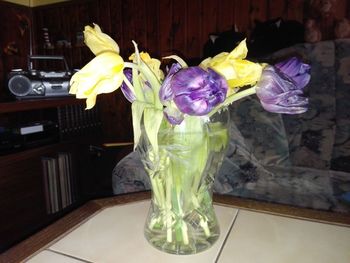 Close-up of flowers in vase