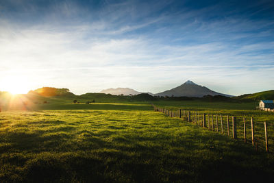 Scenic view of field against sky