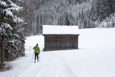 Cross-country skiers in green jacket in the forest