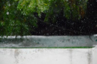 Close-up of raindrops on leaf