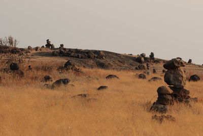 Stack of stones on grassy field against sky