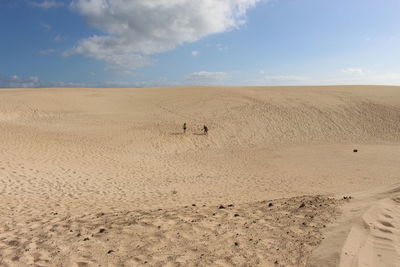 Scenic view of desert against sky