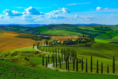 Scenic view of farm against sky